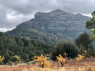 Ca la Neus - Casa per 8 persones al poble de Mura - 7