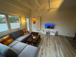 alter Seehase - Norderney - 4