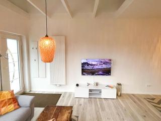 alter Seehase - Norderney - 1