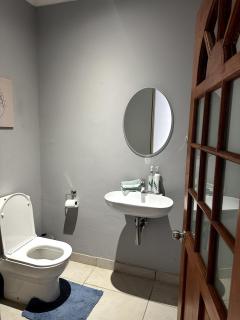 Laid-Back Tortoise - 2