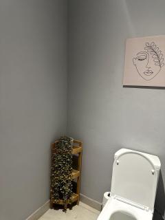 Laid-Back Tortoise - 1