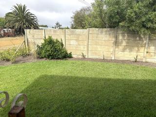 Laid-Back Tortoise - 5