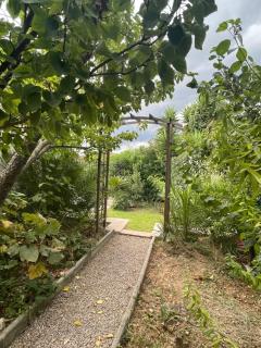 Bastide familiale cadre idyllique vue St Paul de Vence - Vence - 6