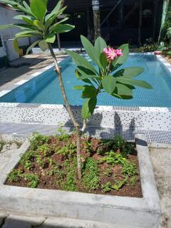 Alojamiento Leticia - Leticia - 2