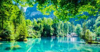Amazing River and Mountain View Apartment - Kandersteg - 1