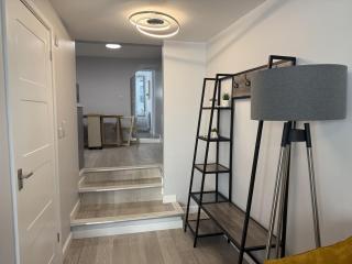 Pebbles - Lyme Regis - 9