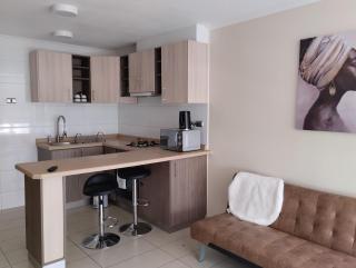 Depto un dormitorio barrio universitario - Concepción - 4