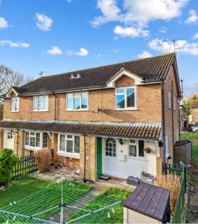 Cozy house with garden - Polegate - 0
