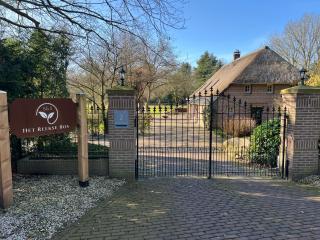 B&B Het Reekse Bos - Reek - 9