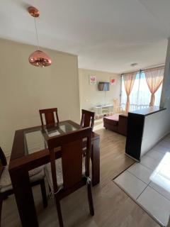 Departamento 6 personas 3 habitaciones con estacionamiento - Concepción - 6