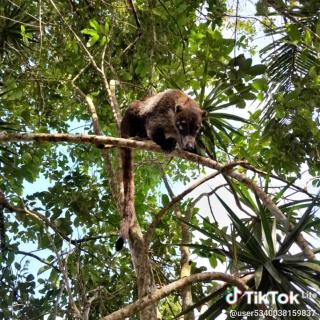 cabaña kataleya - 1