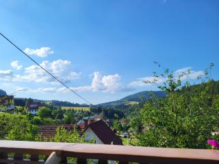 Ferienwohnung Schwarzwaldglück - Baiersbronn - 8