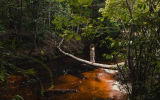 Aldeia Mari-Mari Amazon Lodge - Presidente Figueiredo - 7