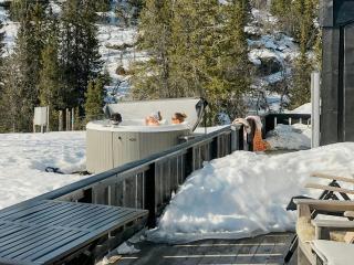 Spacious Family Cabin Near Trails And Ski Runs - Eggedal - 8