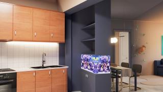 Niarchos Blue - Atene - 1
