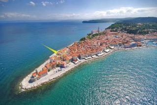 Seafront Residence Punta - Piran - 9