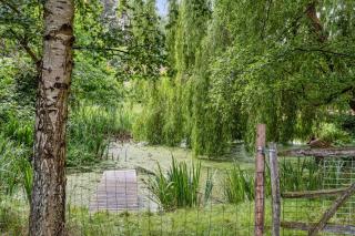 Close To Nature In Home With Own Lake - Jægerspris - 6