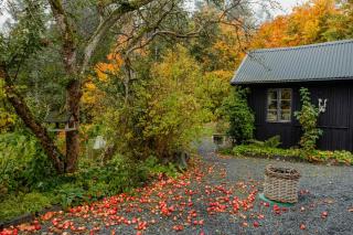 Swedish Quarry Guesthouse - Lönsboda - 7