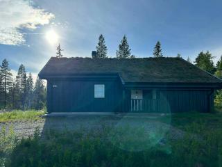 Ski Holiday Or Summer Adventure Right By Trysil - Trysil - 9