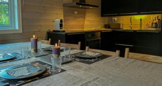 Ski Holiday Or Summer Adventure Right By Trysil - Trysil - 4