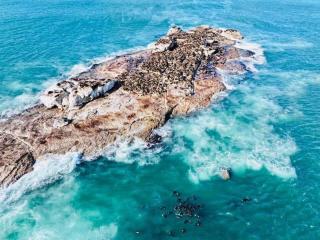 Beautiful Sea view apartment 45 De Valle Diaz Mosselbay - Mossel Bay - 6
