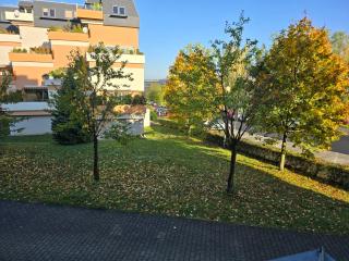 Apartmán Violette - Olomouc - 4