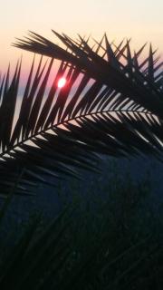 Villa Tramonto Capo d'Orlando - Naso - 9