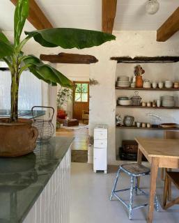 Cévennes House With Natural Pool In Génolhac - Génolhac - 9