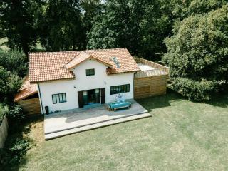 Peaceful Estate Between Bordeaux And San Sebastian - Saint-Julien-en-Born - 0