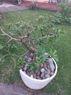 L'escale Paisible - 1