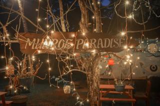 The Munroe Paradise - Munroe Island - 9