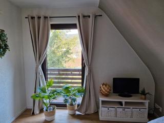 Haus Schwarzwald Königin - Bühlertal - 3