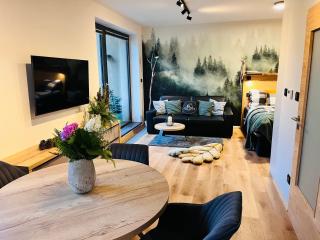 Apartmán Dole v Dole - Černý Dŭl - 7