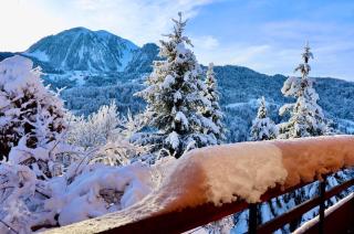 Logement 3 étoiles avec vue imprenable sur les montagnes, ski bus - 9
