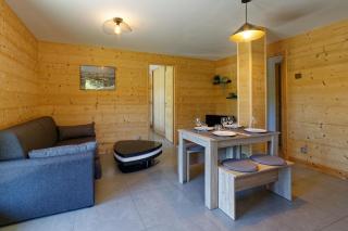 Logement 3 étoiles avec vue imprenable sur les montagnes, ski bus - Manigod - 7