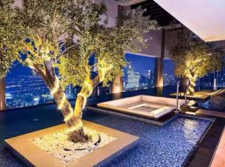 Burj View 3BDR with Rooftop Infinity Pool - 8