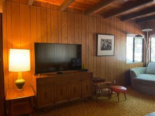 Groovy Cabin in the Woods - 1
