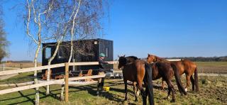 Tiny House Le Haras en Baie de Somme - Vron - 7