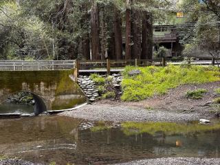 Redwood Treehouse Retreat Near Muir Woods - Mill Valley - 6