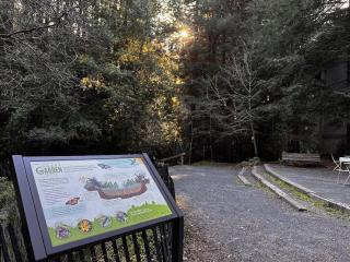 Redwood Treehouse Retreat Near Muir Woods - Mill Valley - 3