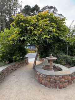 Spacious 5-BR Home in Scenic Mill Valley Retreat - Mill Valley - 5