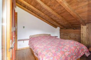 Estate in montagna - San Vito di Cadore - 1