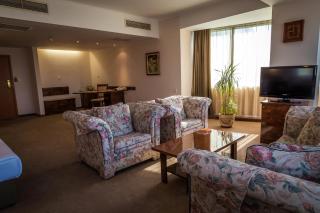 Hotel Sevlievo Plaza - 7