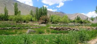 Kasri Homestay - Kargil - 7