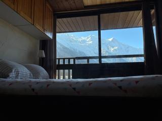 Mont Blanc Panorama - Chamonix - 0