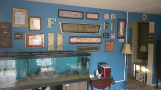 Lil Black Bear Inn - Nashville - 2