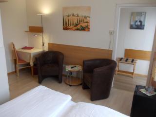 Hotel Schmid - Bad Bellingen - 6