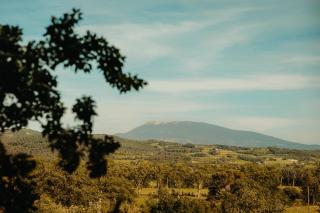 Cabane La Fontaine du Figuier - 5