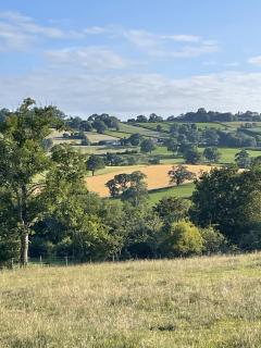 Lodge Farm B&B - a working farm - 3