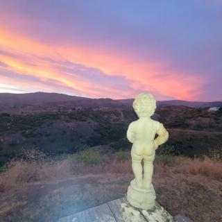 Alpaca Rustic Ranch-peaceful & breathtaking views - 3